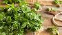 Green Methi Leaves