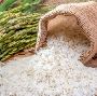 Premium Quality Rice from Top Rice Exporters – Bulk Supply W