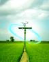 Partner with AgriDoot – Join as an Agribusiness Partner 