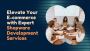 Elevate Your E-commerce with Expert Shopware Development Se