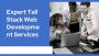 Expert Tall Stack Web Development Services