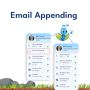 Want to Improve Your Data with Email Appending?