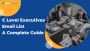 Want to Reach Top US C-Level Executives? Get Verified Emails