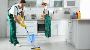 Professional Commercial Kitchen Cleaning Services 