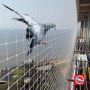 Ajit Bird Net Installation — Expert Bird Control Solutions N
