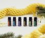 Are You Ready to Experience the Benefits of Alcyon's Oil