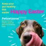 Avail the huge discounts this Easter Sale on our Ebay store