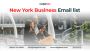 Buy New York Business Email List – Reach Verified NY Leads!