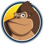 Top Carpet Cleaning Services in Illinois | King Kong Carpet 