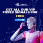 Maximize Profits with Forex Signals