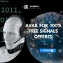 Best Trading Bot