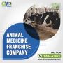 Animal Medicine Franchise Company: Your Competitive Edge in 