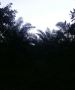 Fincas En Venta, Monte Plata!!