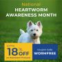 Flat 18% Off- National Heartworm Awareness Month