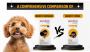 Bravecto Chewable vs. Topical: Key Differences Explained 