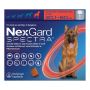 Total Parasite Protection – Save Big with Nexgard!
