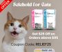 Selehold Protection for Cats – Big Savings at BudgetPetWorld