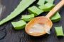 Top Wholesale Aloe Vera Gel Suppliers for Premium Quality