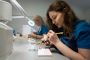 High-Quality Dental Laboratory Supplies in the USA