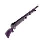 Air Rifle Dealers – Buy Benjimin Fortitude at amanairgun