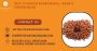 Buy 19 Mukhi Rudraksha – Rare & Divine Bead