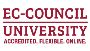 Can I study for cyber security degrees online?