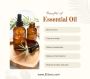 Essential Oils for Spider Veins: What You Need to Know