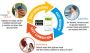 FreeStyle Libre Digital Ecosystem – Unified Diabetes Managem