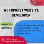 Expert Website Design and Development Services 