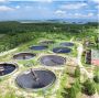 Effluent Disposal Report