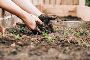 Biodiversity Stewardship Site Assessment Report (BSSAR)
