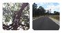Detailed Site Investigation Sydney