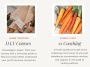 Integrative Health Practitioner in Tampa FL | Angeles Grover Wellness