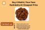 Buy 4 Mukhi / Four Face Rudraksha At Cheapest Price