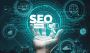 Expert Search Engine Optimization in UAE for Business Growth