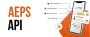 AEPS API Provider