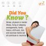 Best Pillow USA |Comfortable Pillow | Urvi Pillows