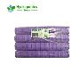 2'' Neoprene Inserts Purple 100 Pack for Plant Propagation