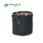 Grow1 Fabric Pot with Handles Black 30 Gallon | Plants