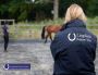 Equine Care Surrey - Lingfield Equine Vets