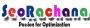 SEO Company in Pune SeoRachana