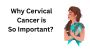 Cervical Cancer, Consult with Best Gynecologist in Agra 