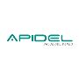 Apidel Technologies | Staffing & Recruitment Company India