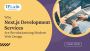 Why Next.js Development Services Are Revolutionizing Modern 