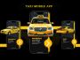 Drive Your Business Forward with a Custom Taxi App by Expert