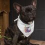 Animal Graphic Pet Bandana