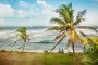 Ultimate Sri Lanka 8 Days Itinerary: Explore Beaches, Cultur
