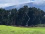 Precision-driven home tree services you can trust 
