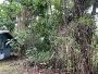Reliable Hawaii Crane Support for Any Terrain – Arborist