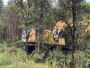 Affordable Expert Land Mulching Solutions 